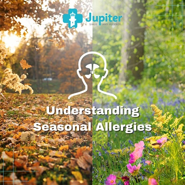 Image of showing ways to understand Seasonal Allergies
